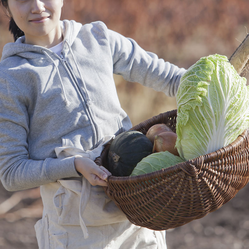 十勝の大地で育った新鮮野菜